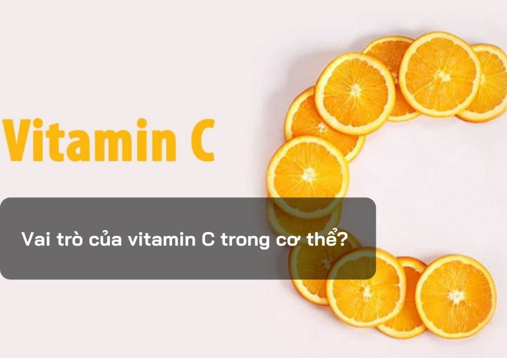 Vai trò của vitamin C trong cơ thể?