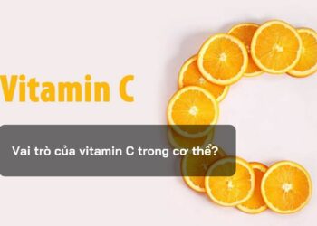 Vai trò của vitamin C trong cơ thể?