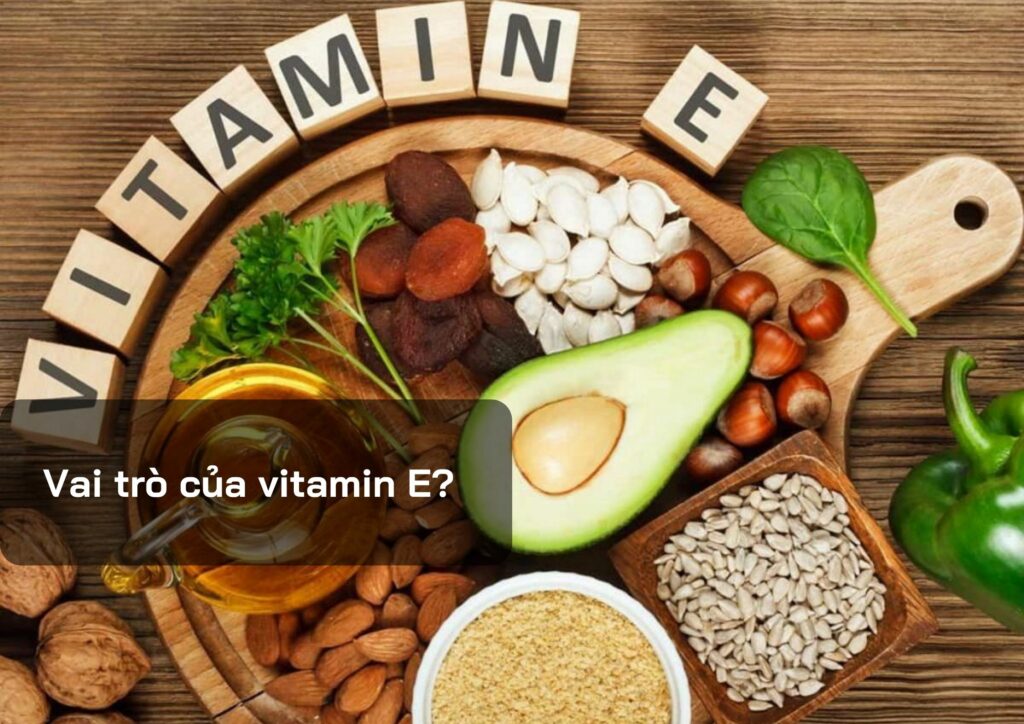 Vai trò của vitamin E?