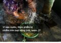 Vì sao nước, thực phẩm bị nhiễm kim loại nặng (chì, asen…)?