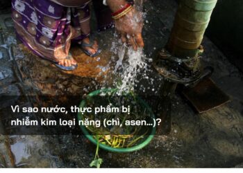 Vì sao nước, thực phẩm bị nhiễm kim loại nặng (chì, asen…)?