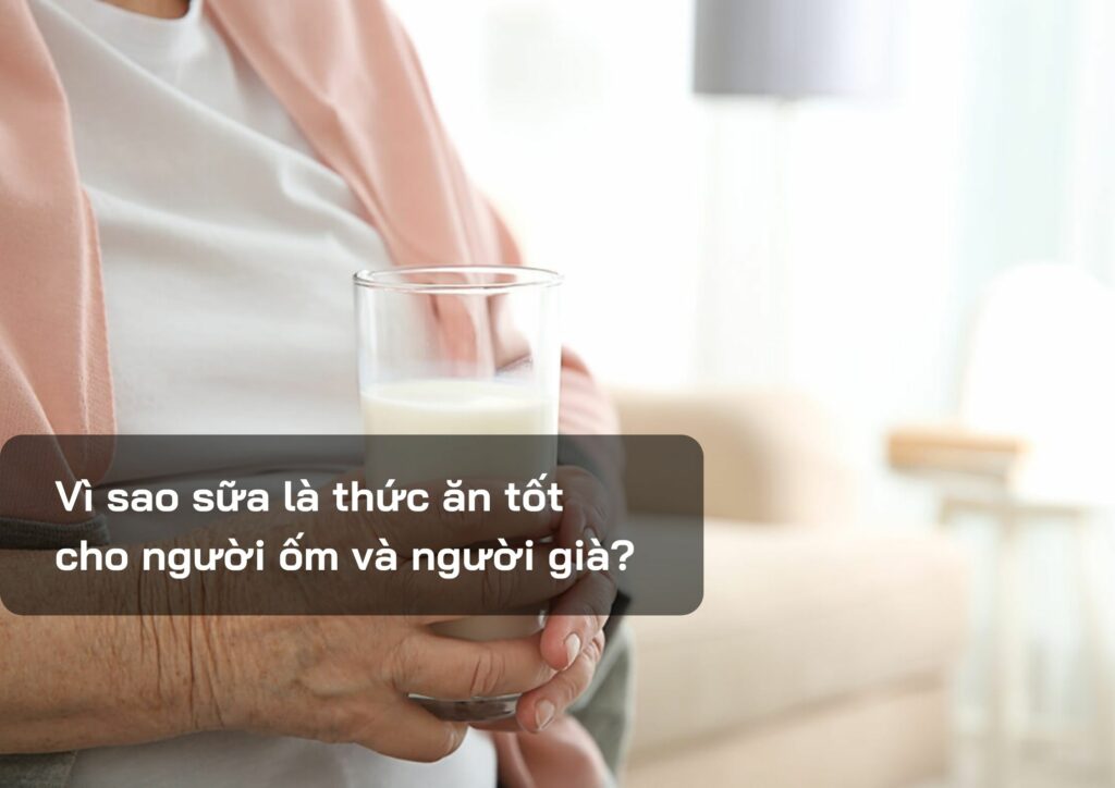 Vì sao sữa là thức ăn tốt cho người ốm và người già?