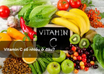 Vitamin C có nhiều ở đâu?