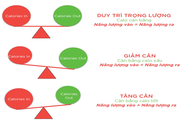 Cân bằng năng lượng để quản trị vóc dáng