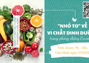 Nhỏ to về Vi chất dinh dưỡng