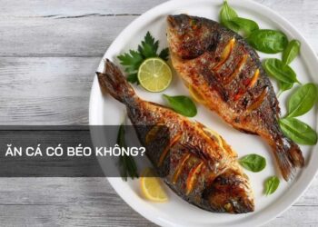 Ăn cá có béo không?
