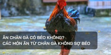 Ăn chân gà có béo không?