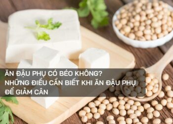 Ăn đậu phụ có béo không?