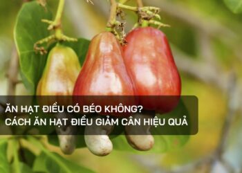 Ăn hạt điều có béo không?