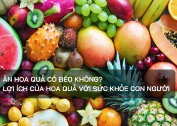 Ăn hoa quả có béo không?