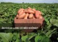 Ăn khoai lang có béo không?