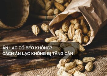Ăn lạc có béo không? Cách ăn lạc không bị tăng cân