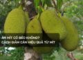 Ăn mít có béo không?
