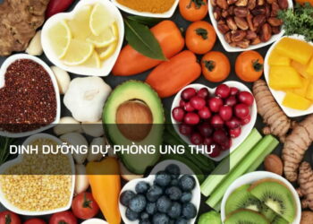 Dinh dưỡng dự phòng Ung thư
