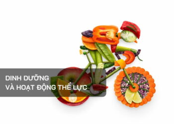Dinh dưỡng và Hoạt động thể lực