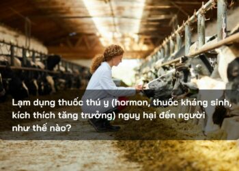 Lạm dụng thuốc thú y (hormon, thuốc kháng sinh, kích thích tăng trưởng) nguy hại đến người như thế nào?