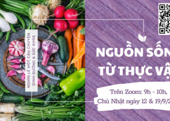 Nguồn sống từ thực vật