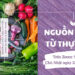 Nguồn sống từ thực vật