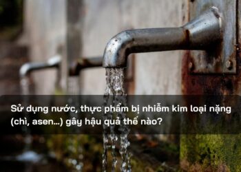 Sử dụng nước, thực phẩm bị nhiễm kim loại nặng (chì, asen…) gây hậu quả thế nào?