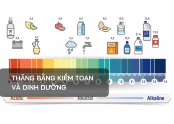 Thăng bằng kiềm toan và dinh dưỡng