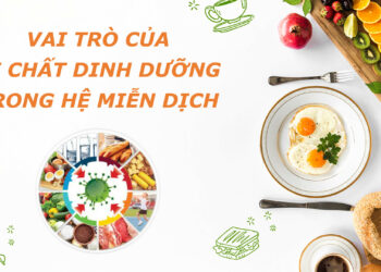 Vai trò của Vi chất dinh dưỡng trong Hệ miễn dịch